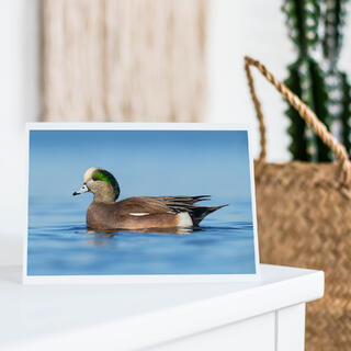 Blank Notecards